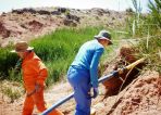 Ciftlik Etkinlikleri 21
